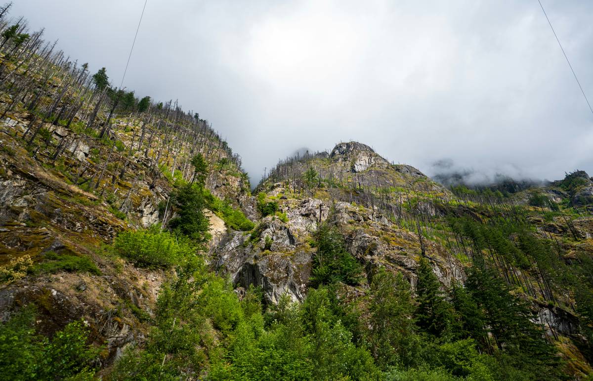 Rugged mountainside with green trees under a cloudy sky.